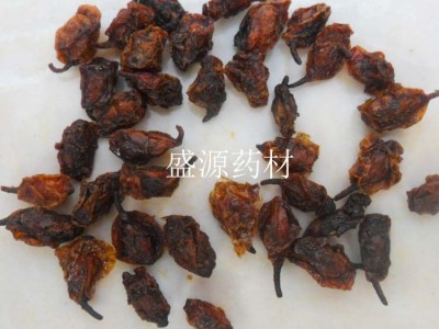中药材批发 沙棘果 沙棘 沙棘干沙棘茶 量大从优图5