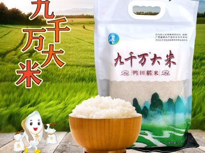 广西巴马鸭田稻米硒大米2.5kg真空米砖香米厂家直销杂粮九千万米图3