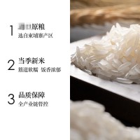 2020年新米柬埔寨茉莉香米5kg真空包装长粒香大米籼米厂家香米