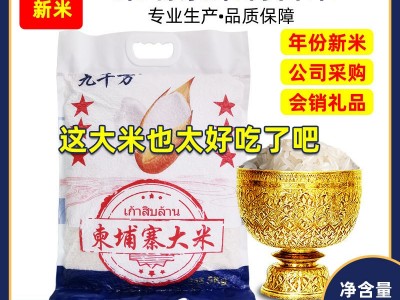 2020年新米柬埔寨茉莉香米5kg真空包装长粒香大米籼米厂家香米图2