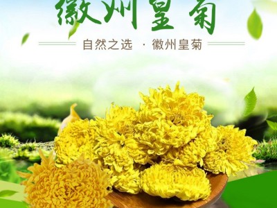 厂家供应徽州皇菊婺源皇菊金丝皇菊高山菊花茶 散货批发 量大从优图1