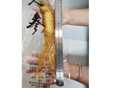 【保鲜人参】东北特产长白山人参批发泡酒煲汤厂家直销规格齐全图2