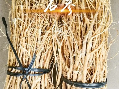 大量批发石参根 石参茎 参南干参 虎尾轮 煲汤中草药图4