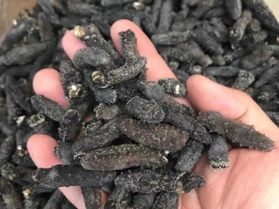小关西参 纯淡干泡发量可达15斤 囗感胶质好 280-300￥1850图2