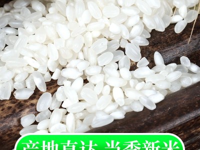 厂家批发媛妈家东北白米5斤东北大米包邮当季新米图3
