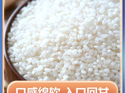 米蒂辽星白米10斤 东北大米当季新米包邮一件代发产地直发图4