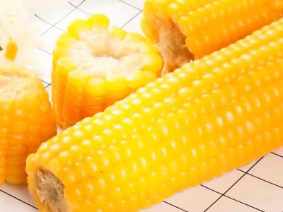 玉米季东北黄糯玉米厂家直发软糯香甜规格多样一件代发质量保证图3