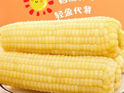 念初好物熟制玉米白玉米轻松便携软糯香甜真空包装质量保证图4