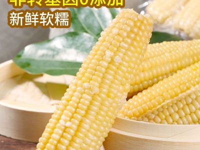 念初好物熟制玉米白玉米轻松便携软糯香甜真空包装质量保证图5