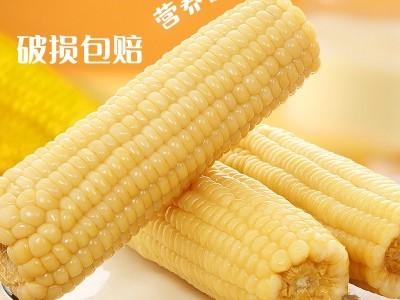 念初好物熟制玉米白玉米轻松便携软糯香甜真空包装质量保证图3