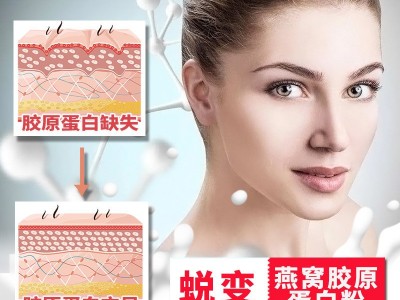 [1000g/罐]燕窝胶原蛋白质粉女性蛋白粉营养保健蛋白粉批发代发图3