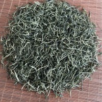 2023年春茶毛尖绿茶大量批发广西三江绿茶产地货源