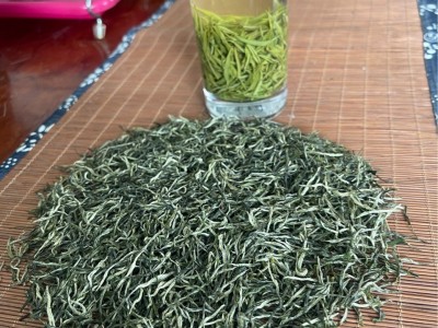 2023年春茶毛尖绿茶大量批发广西三江绿茶产地货源图5