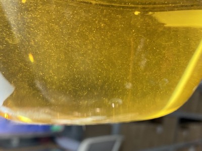 茶叶红茶花香蜜香浓香产地厂家高山原料福安红茶之都红茶香甜500g图3