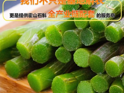供应霍山铁皮枫斗石斛条 礼盒装现货石斛干条 霍山铁皮石斛鲜条图2