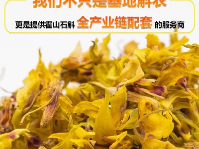 霍山铁皮石斛花 手工采摘散装中药材石斛批发 铁皮枫斗石斛花图3