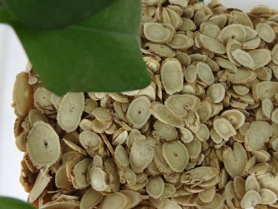 批发甘肃黄芪 无硫野生黄芪 产地直营 规格齐全 量大价优 黄芪片图3