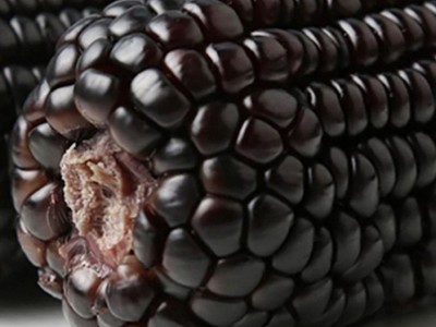 甜糯玉米真空装黑玉米黄玉米白玉米东北速食黏玉米棒大棒嘴上东北图4