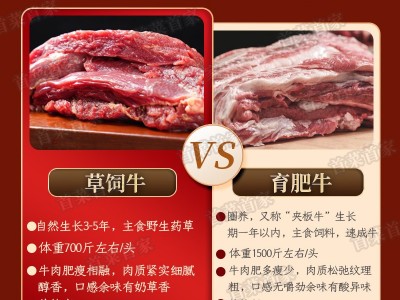 首菜首家内蒙古黄牛软排骨1斤/件生牛肉冷冻食品火锅食材牛排图3