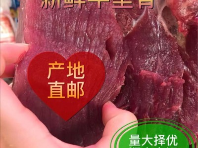 内蒙古批发黄牛肉现杀新鲜牛里脊肉 牛排烧烤食材眼肉一件代发图3