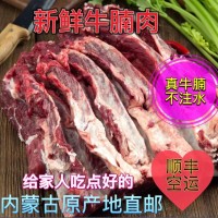 内蒙古特产厂家批发新鲜牛腩肉牛肋条肉草原牛送礼包装一件代发