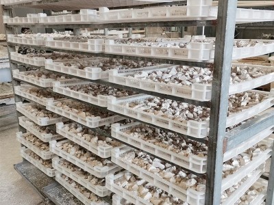 葛源葛根面条江西特产250g火锅方便速食挂面葛根细面条厂家批发图5