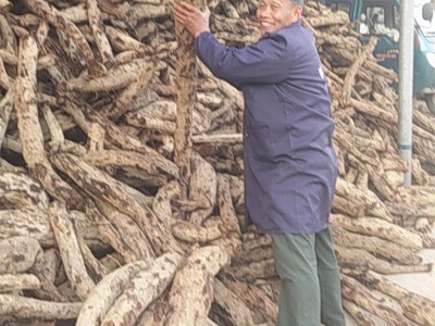 葛源葛根面条江西特产250g火锅方便速食挂面葛根细面条厂家批发图2