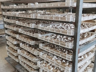 江西特产散装葛源葛粉早餐代餐粉 500g葛根粉批发葛根粉营养图5