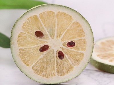 批发冻干青柠檬干 香水柠檬片 各种水果茶 整箱 散装支持代发图3