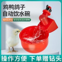 厂家生产跨境供货家禽饮水碗 鸡饮水杯 自动鸡鸭饮水器
