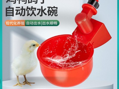 新款家禽塑料自动饮水碗 鸡用饮水杯饮水器 自动饮水器喂水器图2