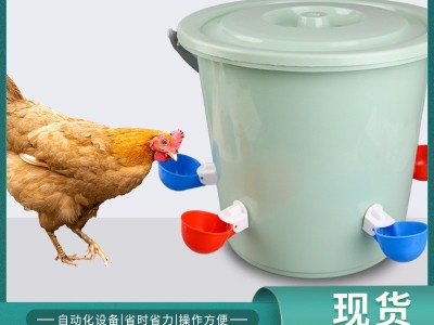 新款家禽塑料自动饮水碗 鸡用饮水杯饮水器 自动饮水器喂水器图3