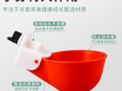新款家禽塑料自动饮水碗 鸡用饮水杯饮水器 自动饮水器喂水器图5