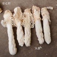 云南农家特产食材干货短裙肉厚红托竹荪竹笙煲汤香菇类食用菌