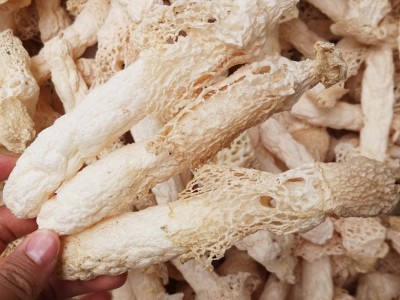 云南农家特产食材干货短裙肉厚红托竹荪竹笙煲汤香菇类食用菌图3
