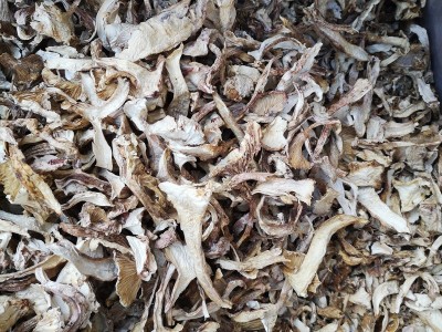新货云南野生青杆菌干货 青冈菌雪山松茸土特产1000g批发量大从优图4