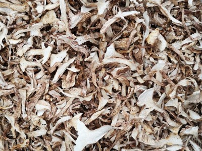 新货云南野生青杆菌干货 青冈菌雪山松茸土特产1000g批发量大从优图2