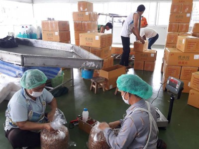 新货6A空心桂圆肉干大颗灯笼无核桂圆干500g散装 桂圆肉干 龙眼肉图5