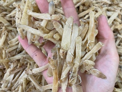 500g批发沙虫北海沙虫无沙小沙虫海鲜干货海产品海味图2