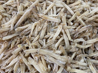 500g批发沙虫北海沙虫无沙小沙虫海鲜干货海产品海味图3