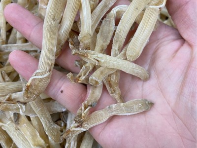 500g批发沙虫北海沙虫无沙小沙虫海鲜干货海产品海味图4