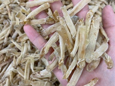 500g批发沙虫北海沙虫无沙小沙虫海鲜干货海产品海味图5