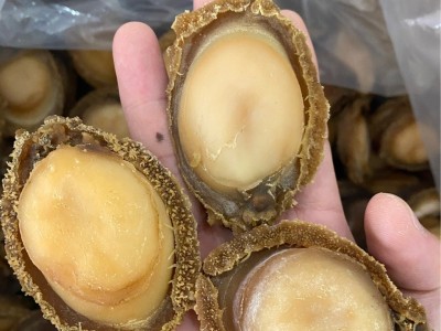 5头8头10头12头澳洲鲍鱼干货南非鲍鱼网鲍干鲍酒店餐饮用鲍鱼500g图4
