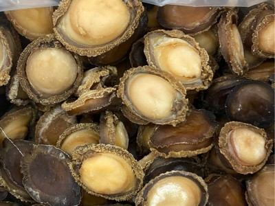5头8头10头12头澳洲鲍鱼干货南非鲍鱼网鲍干鲍酒店餐饮用鲍鱼500g图3