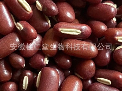批发散装新货五谷杂粮赤小豆直供药食同源长粒赤小豆 量大价优图2