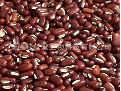 批发散装新货五谷杂粮赤小豆直供药食同源长粒赤小豆 量大价优图3