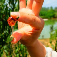 源头产地直批 人工修剪珍珠颗粒桃胶三宝桃胶雪燕皂角米胶原组合