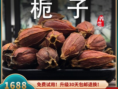 栀子500克黄栀子果山栀子红栀子果上色食中药材泡水用茶免费磨粉图5