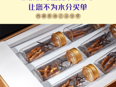 西藏那曲虫草 新鲜冬虫草 冬虫夏草可食用 新货虫草礼盒装批发图3