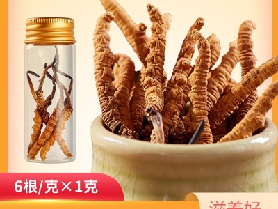 西藏那曲虫草 新鲜冬虫草 冬虫夏草可食用 新货虫草礼盒装批发图2